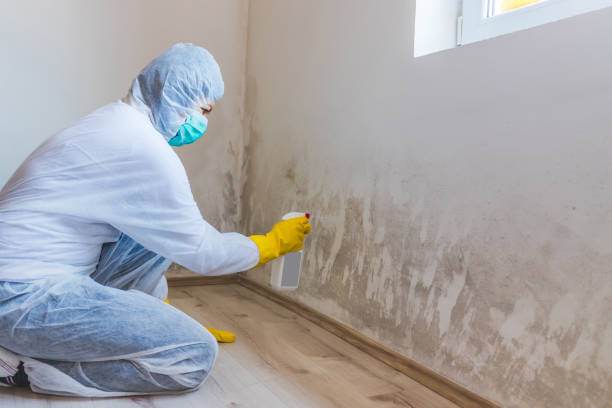 Licensed Crawl Space Mold Removal service in Barrington, IL - WQB Mold Removal