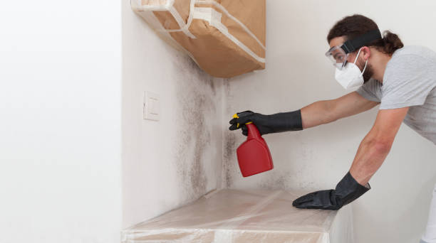 Professional Crawl Space Mold Removal technician working in Barrington, IL