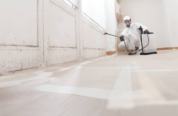24/7 Emergency Crawl Space Mold Removal experts in Barrington, IL