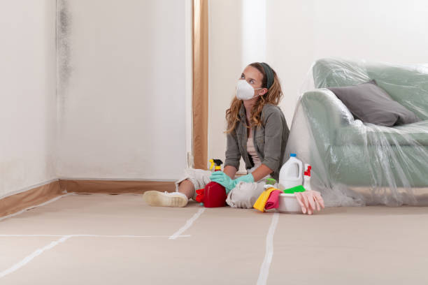 Reliable Crawl Space Mold Removal contractor in Barrington, IL by WQB Mold Removal