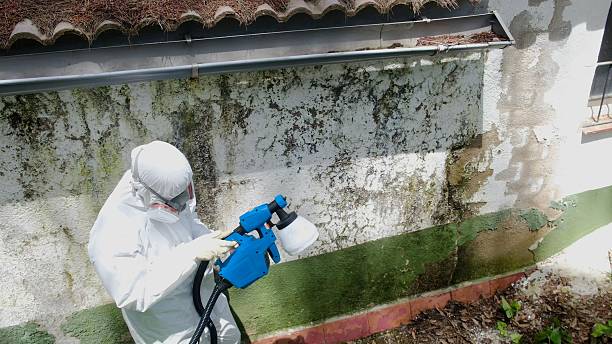 Top rated local Crawl Space Mold Removal specialists in Barrington, IL